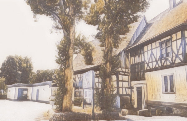 Mehr über mein Mandel-Öl ...